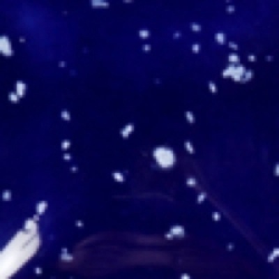 Cobalt Blue Sprinkles
